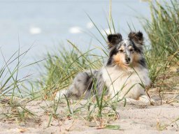 familie stockamp juni 2016 7